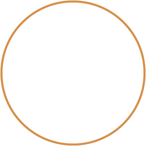 baseball icon