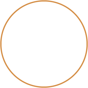 boxing glove icon