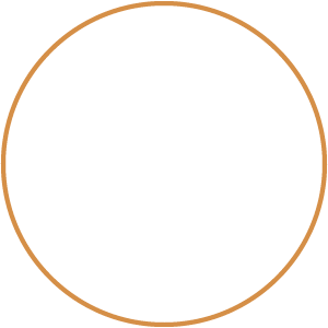 football icon