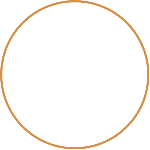 party icon