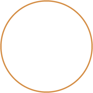 poker chip icon